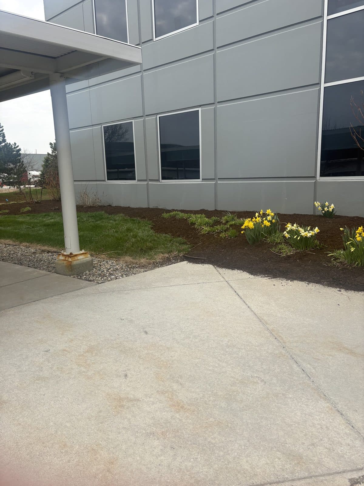 A freshly poured concrete walkway running alongside a commercial building