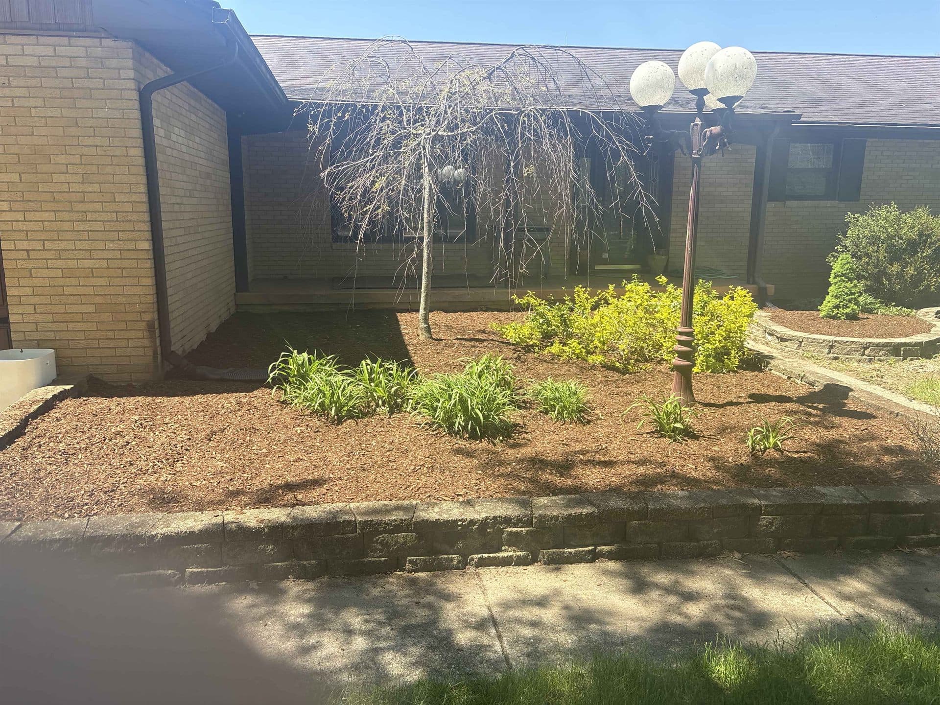 Fresh landscaping and mulch beds at a commercial property